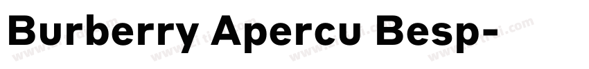 Burberry Apercu Besp字体转换 Burberry Apercu Besp字体转换